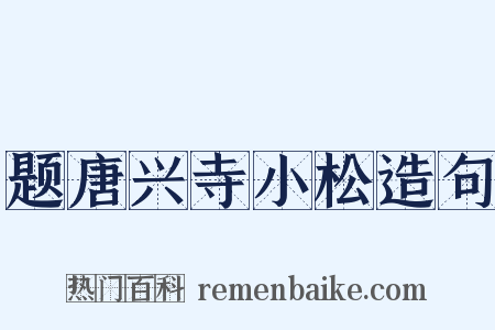 题唐兴寺小松造句是什么意思的图片